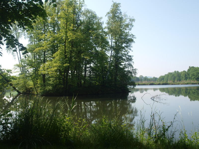 Dwor Debowiec I Exterior photo